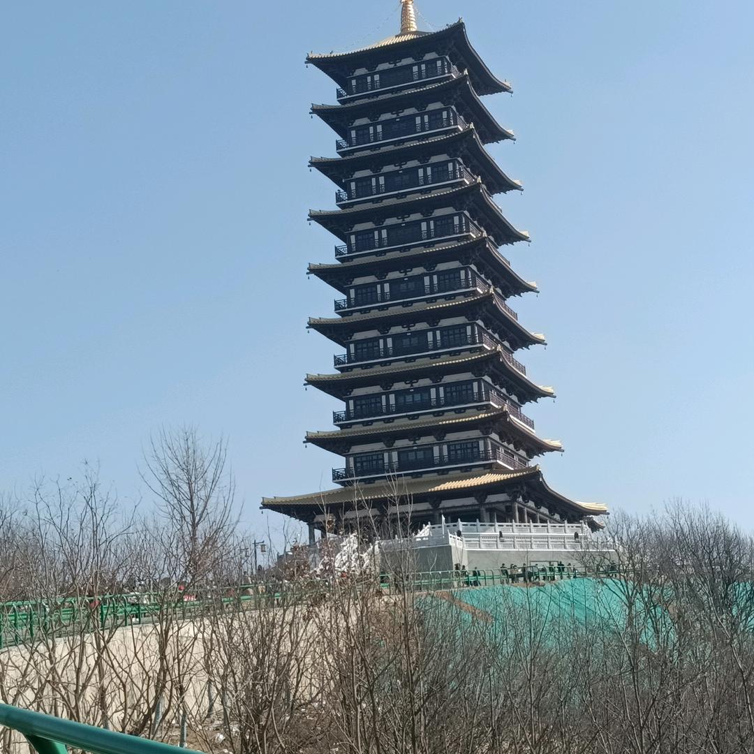 天涯之鹰