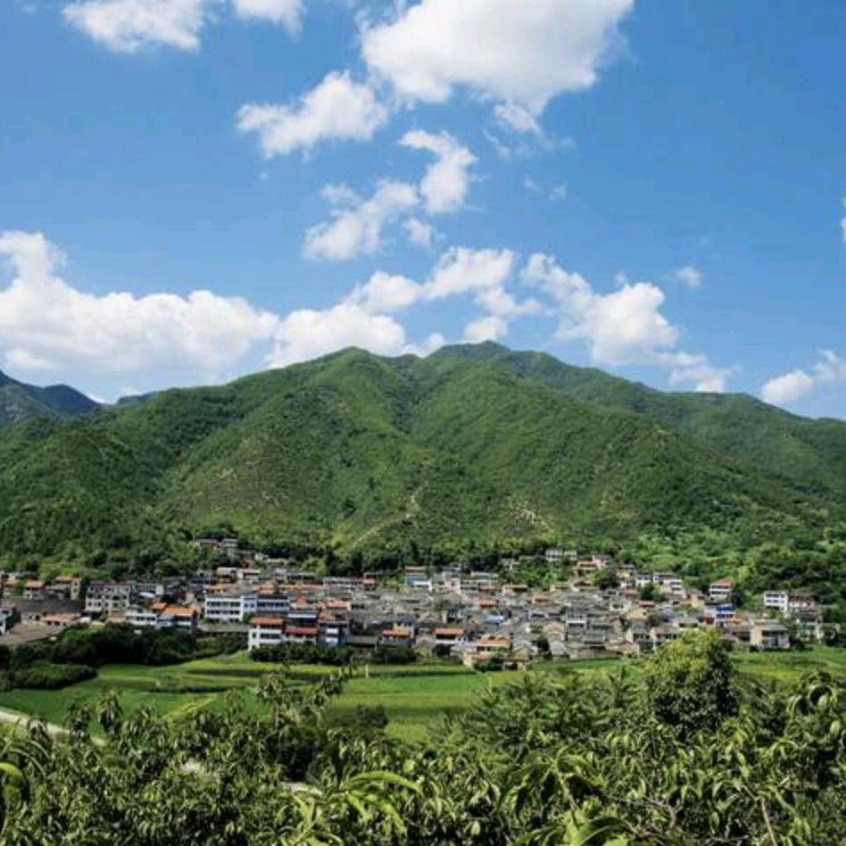 刘大饼