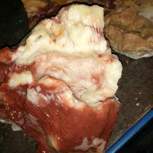 白玉糖