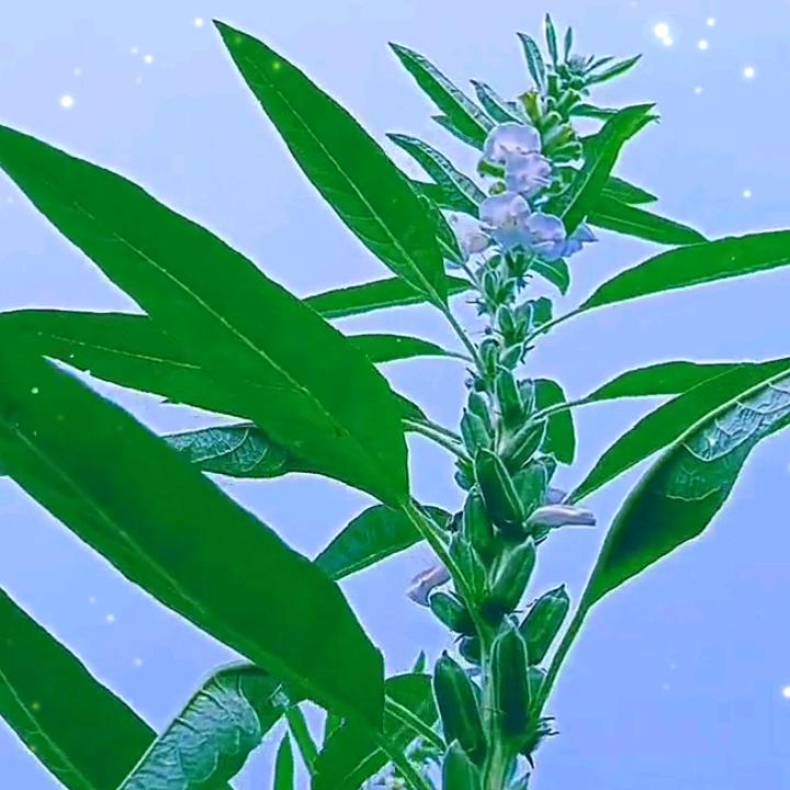 壹念转瞬负清秋