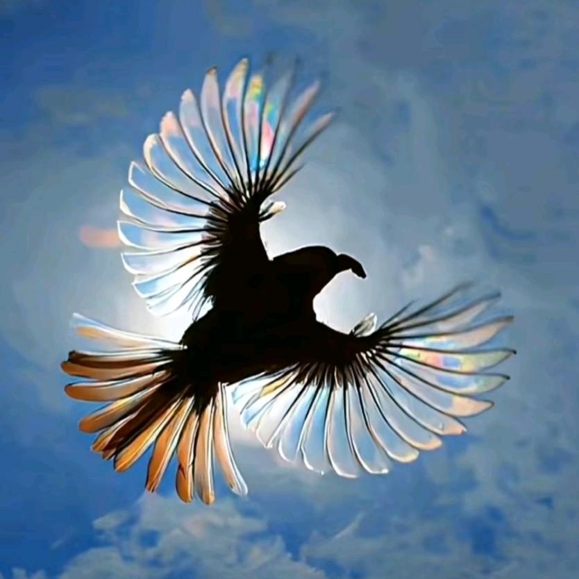 你和晚霞一样耀眼