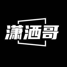 潇洒哥说科技