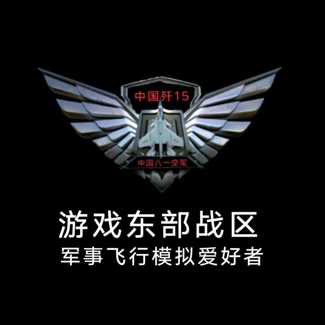 中国军事空军飞行模拟编号417