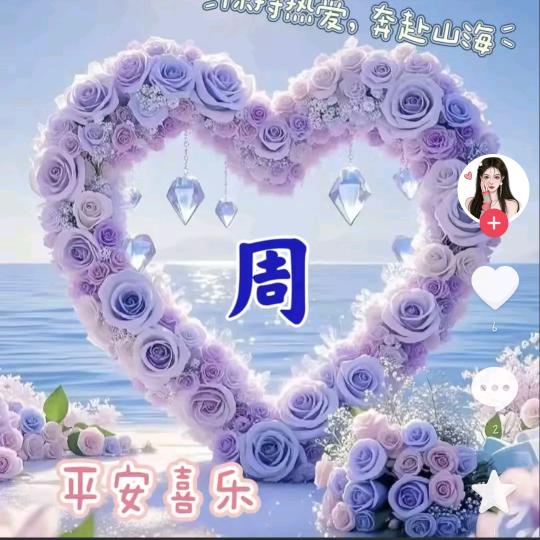 🦈🦈🦈小小周