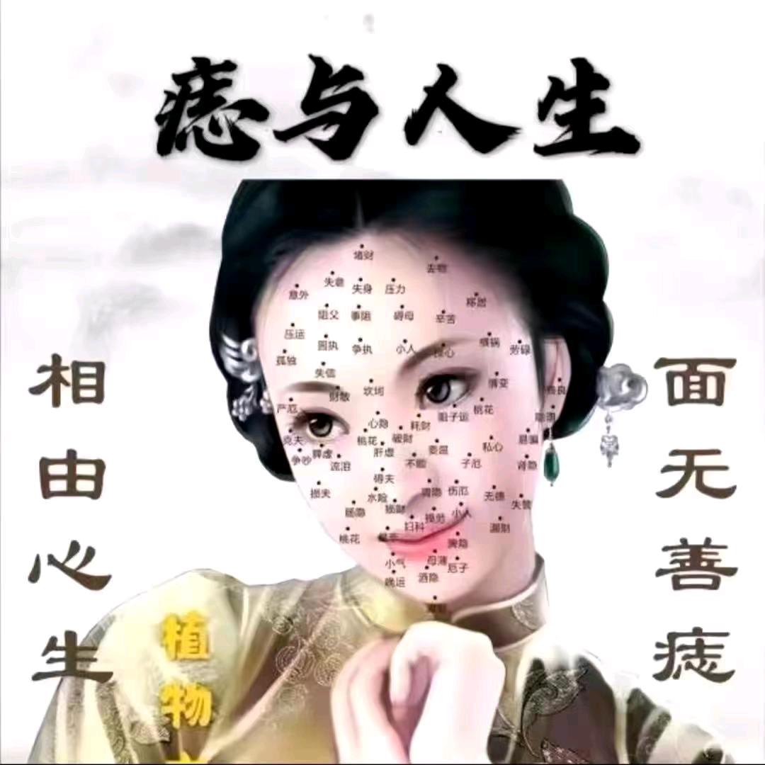 萱萱✔