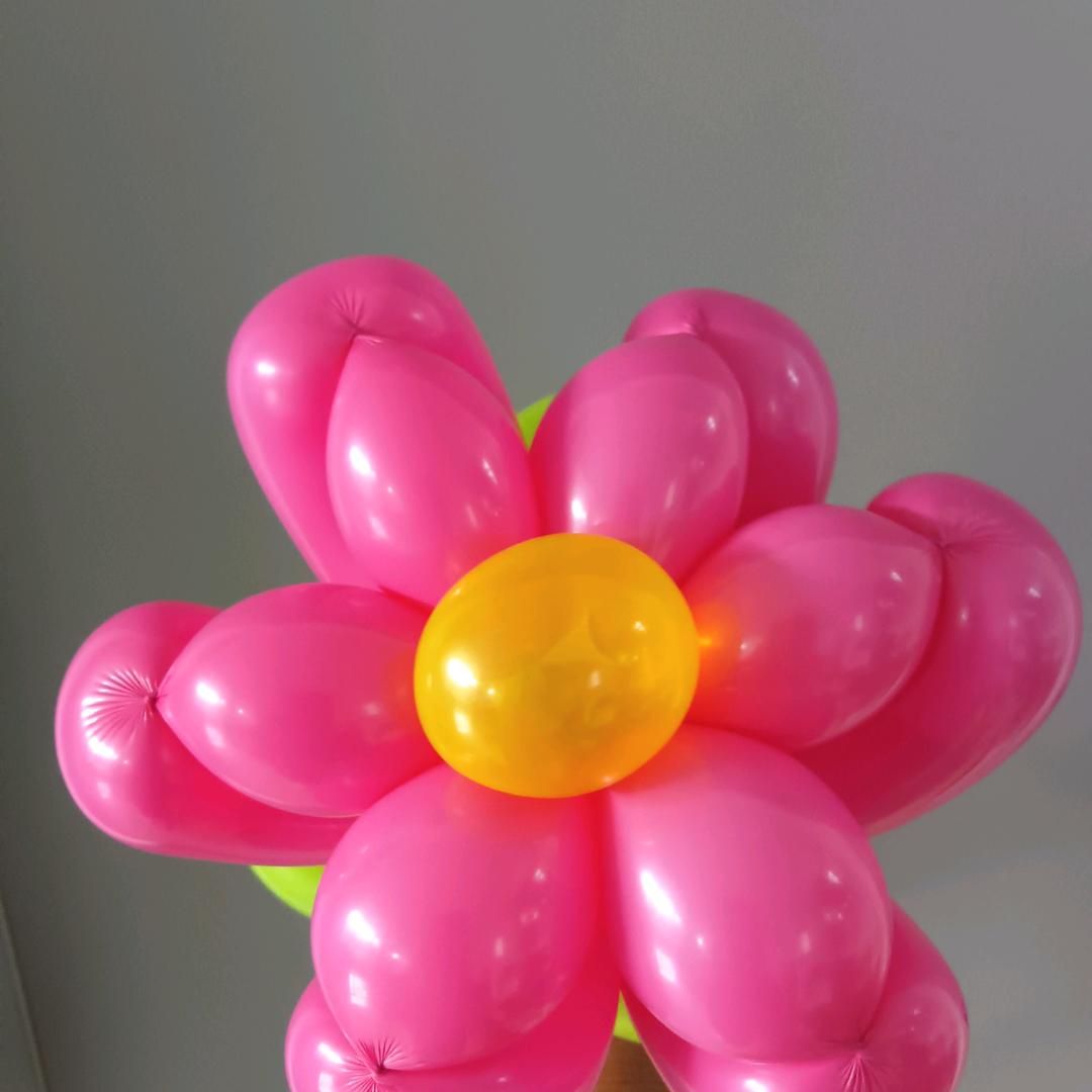 气韵不凡