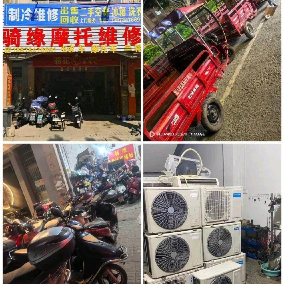 王嘿嘿