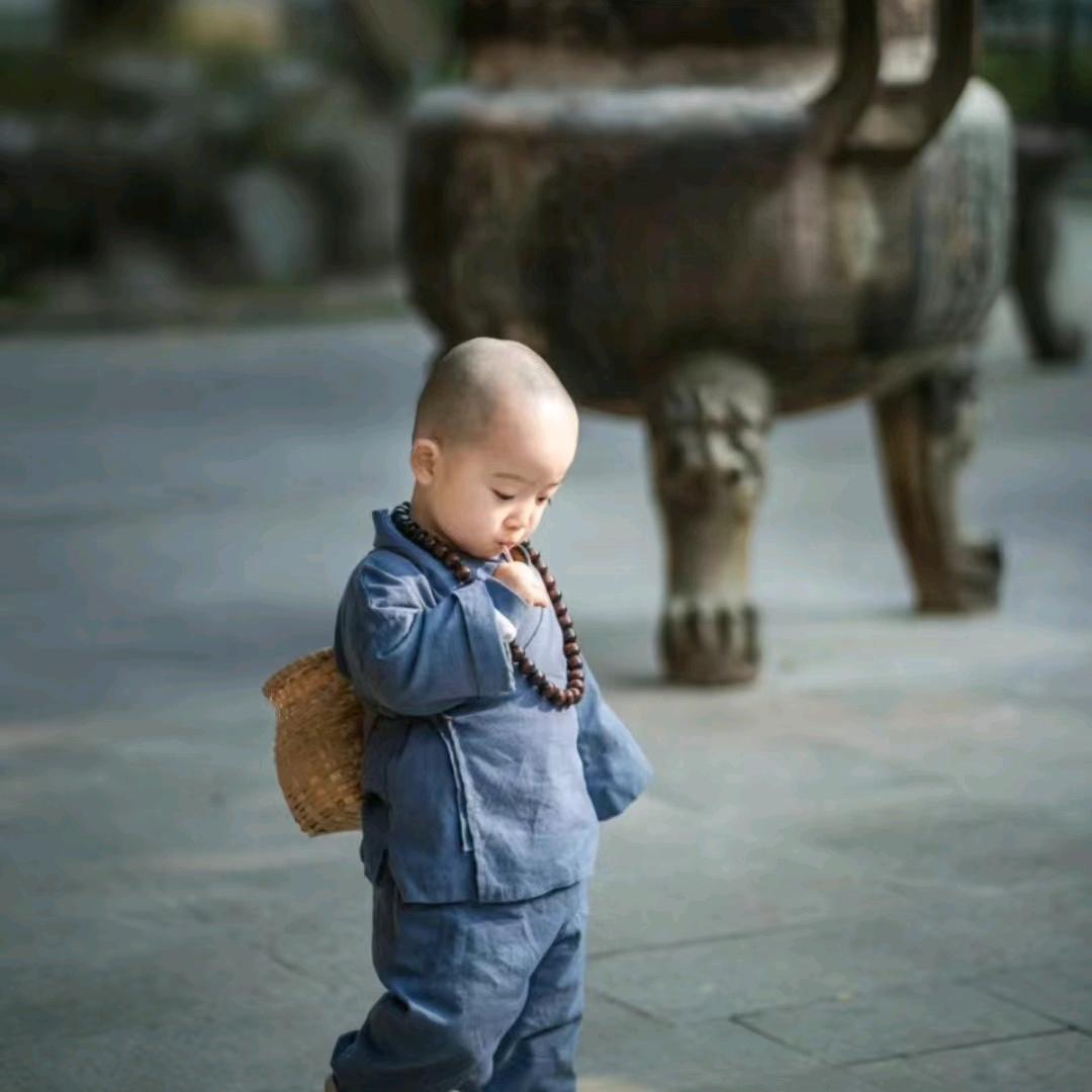 小新为什么没蜡笔