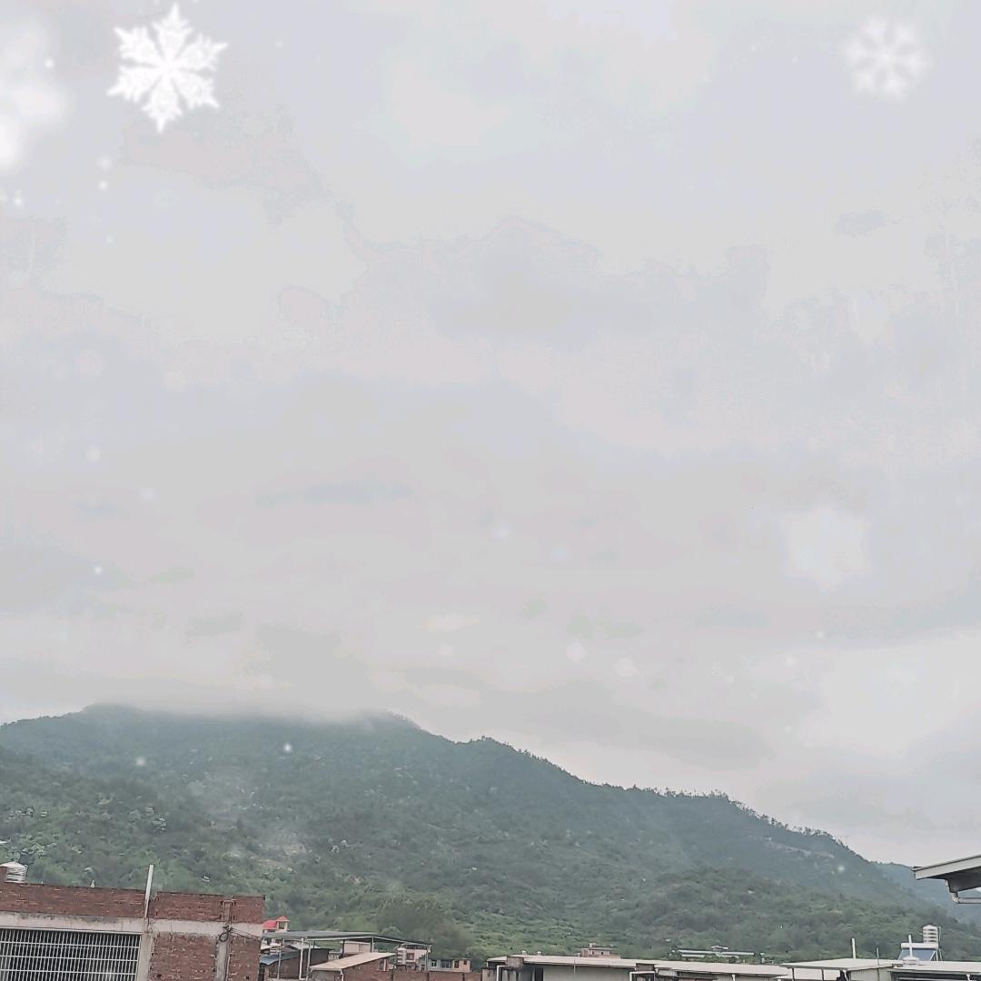 随风随缘的人