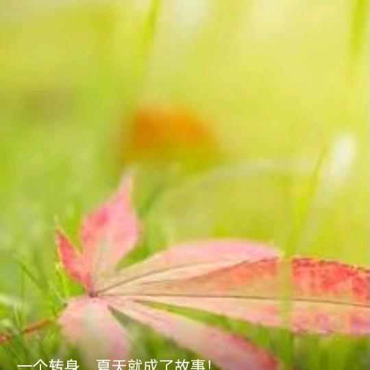 清风暖阳