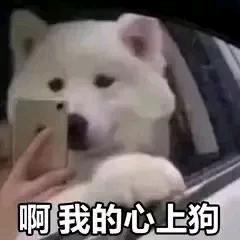 90后执业兽医师