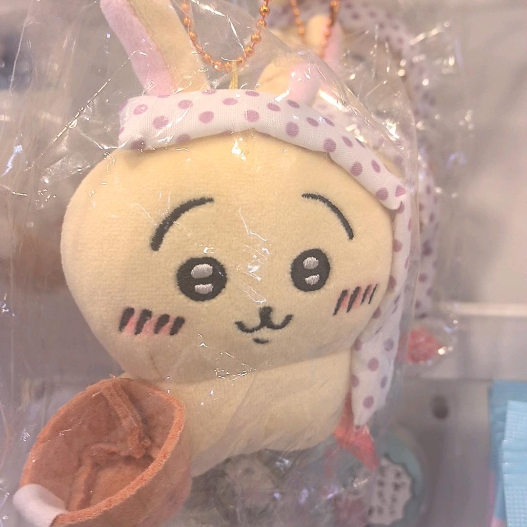 毛毛毛
