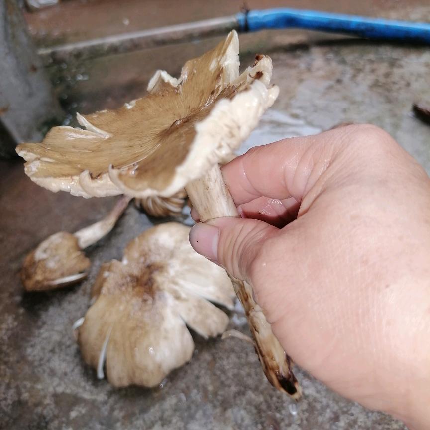 微笑快乐每一天