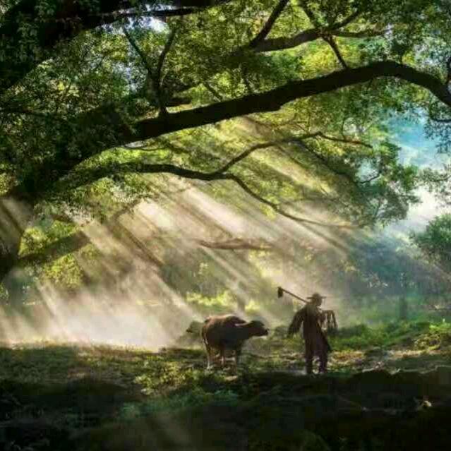 ༄༊࿆石頭ོྂཾ࿆࿐