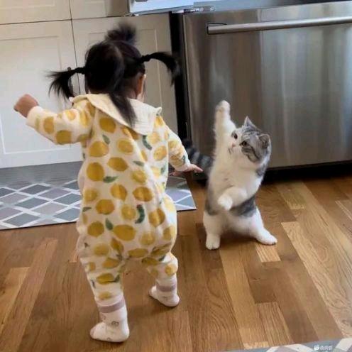 白天不懂夜的黑A