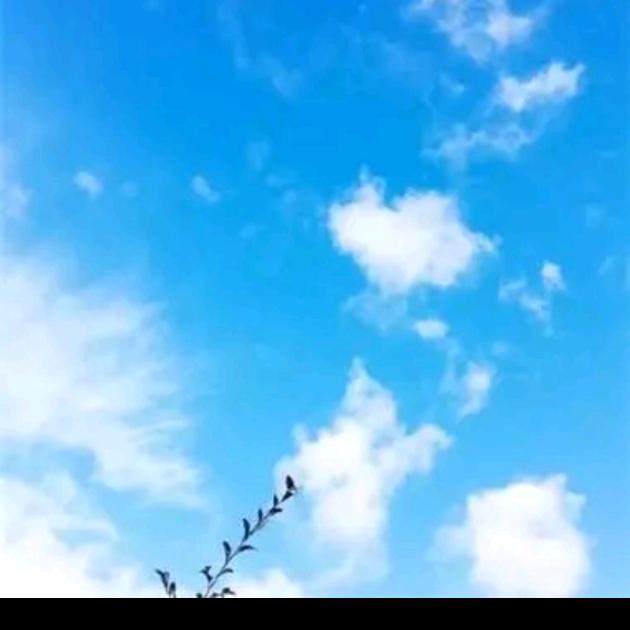 平安短剧
