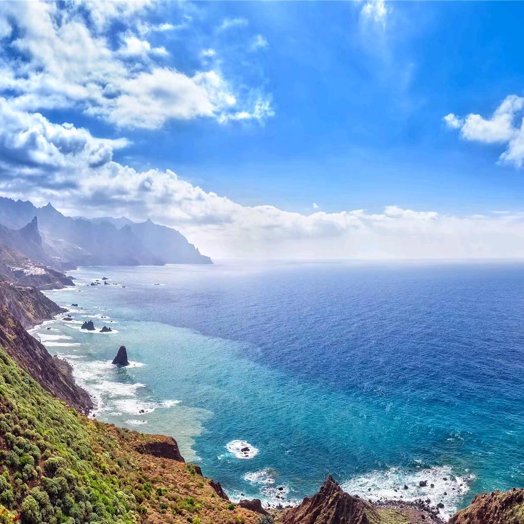 鱼之所在