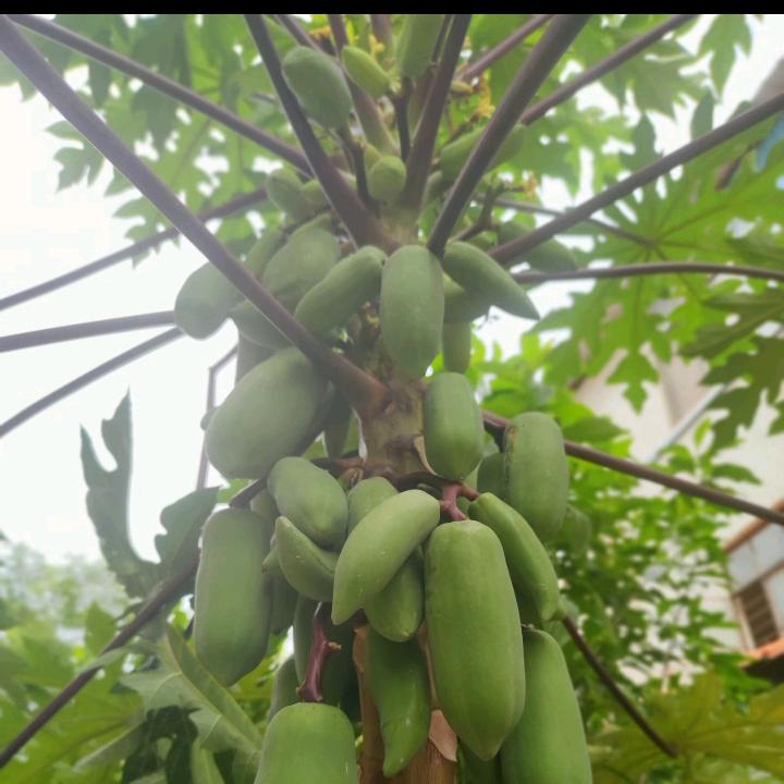 潇湘溪苑