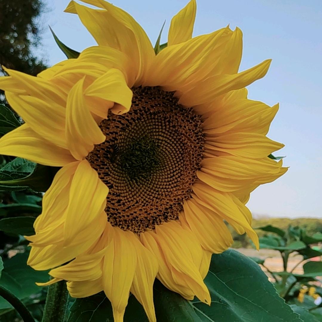 ℳঞᩚ勿忘➹꧔ꦿ᭄