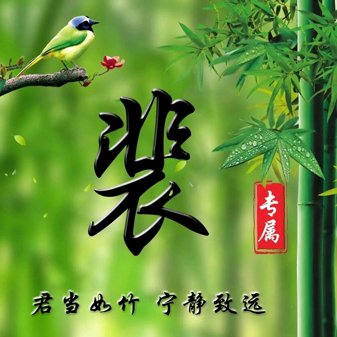 裴你一生