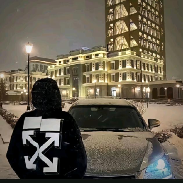 宸安-炎鸟电竞