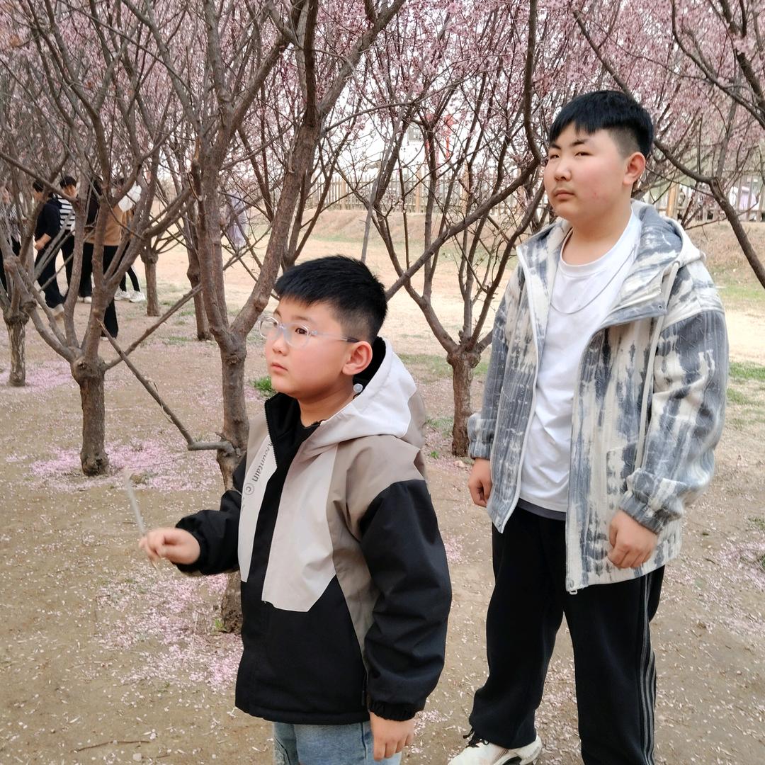 新花