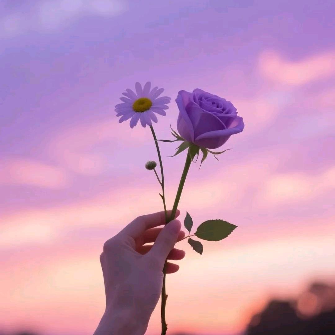 签收°幸福~🌹🌹😘