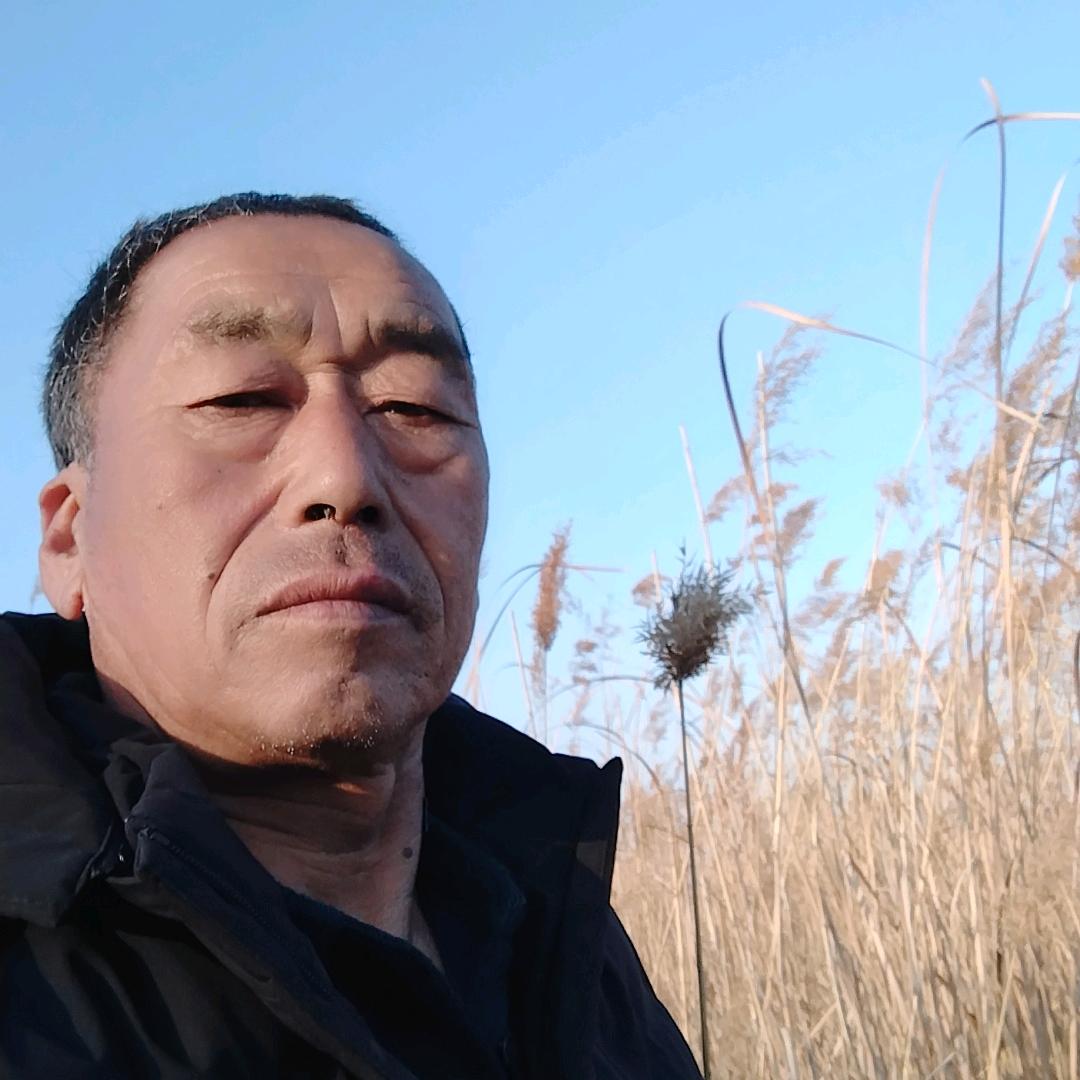 大树爱唱