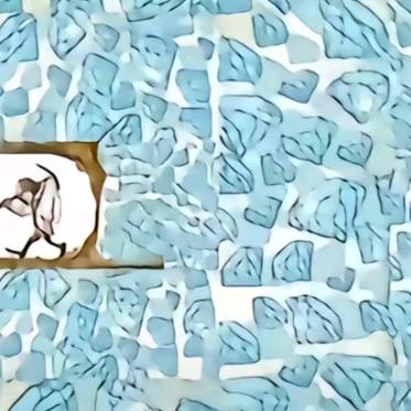 时光过的特别快是时候和大家说拜拜