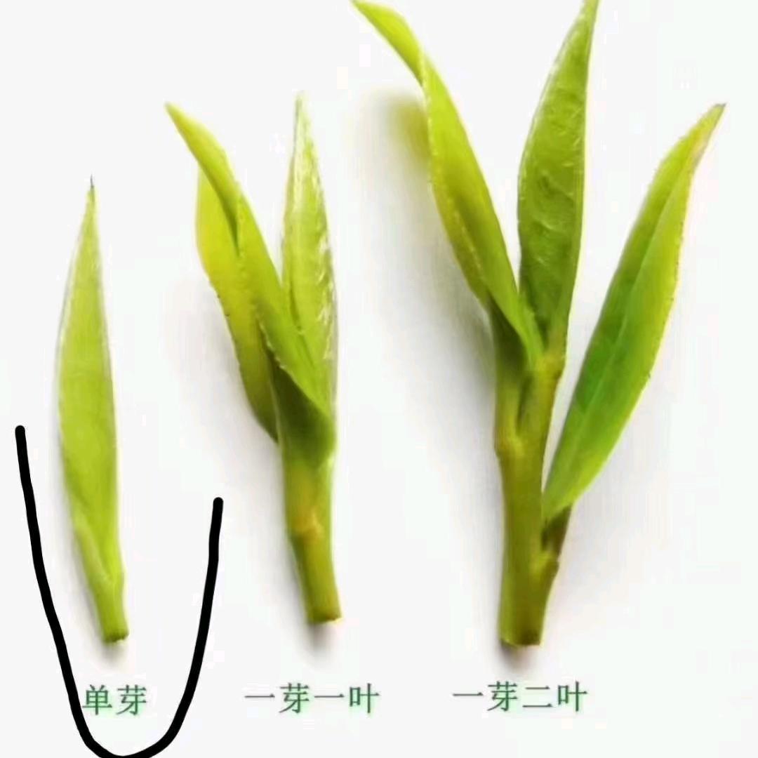 顺其自然
