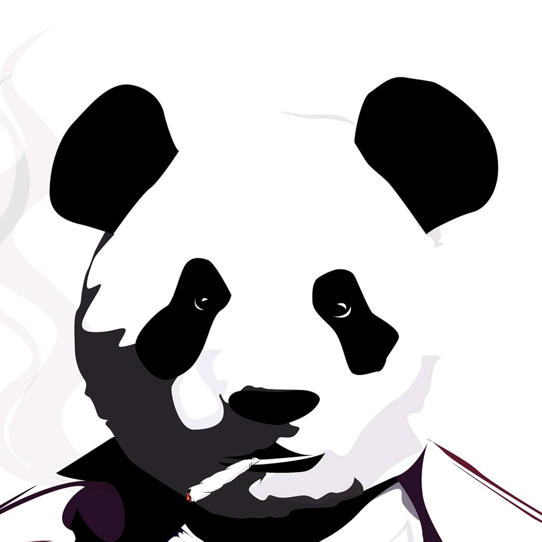 DS外贸流量研究所