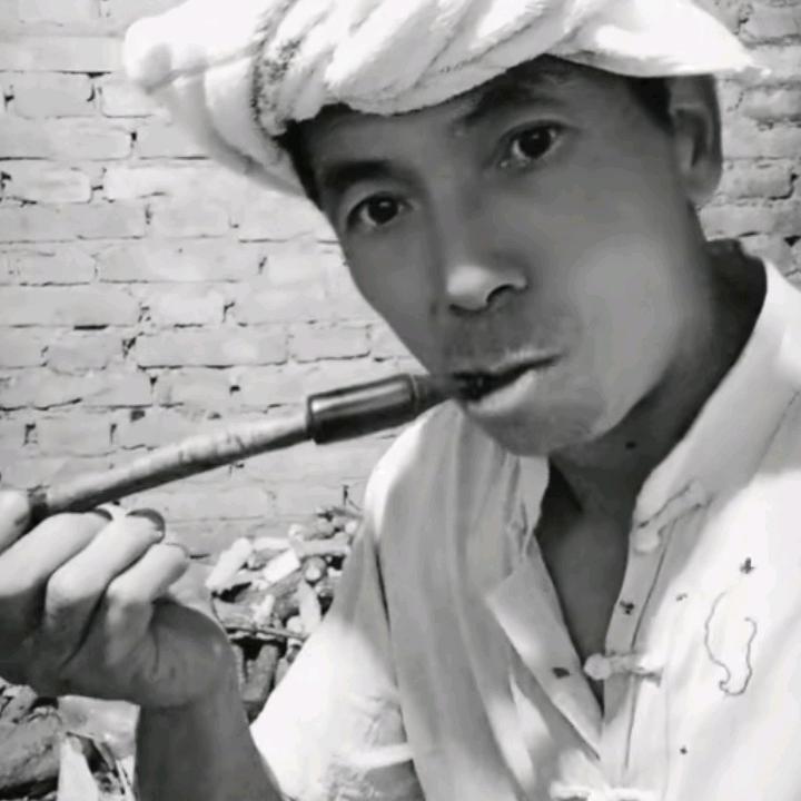 穆柯游子