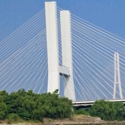 好运连连🐮🐴💃🕺