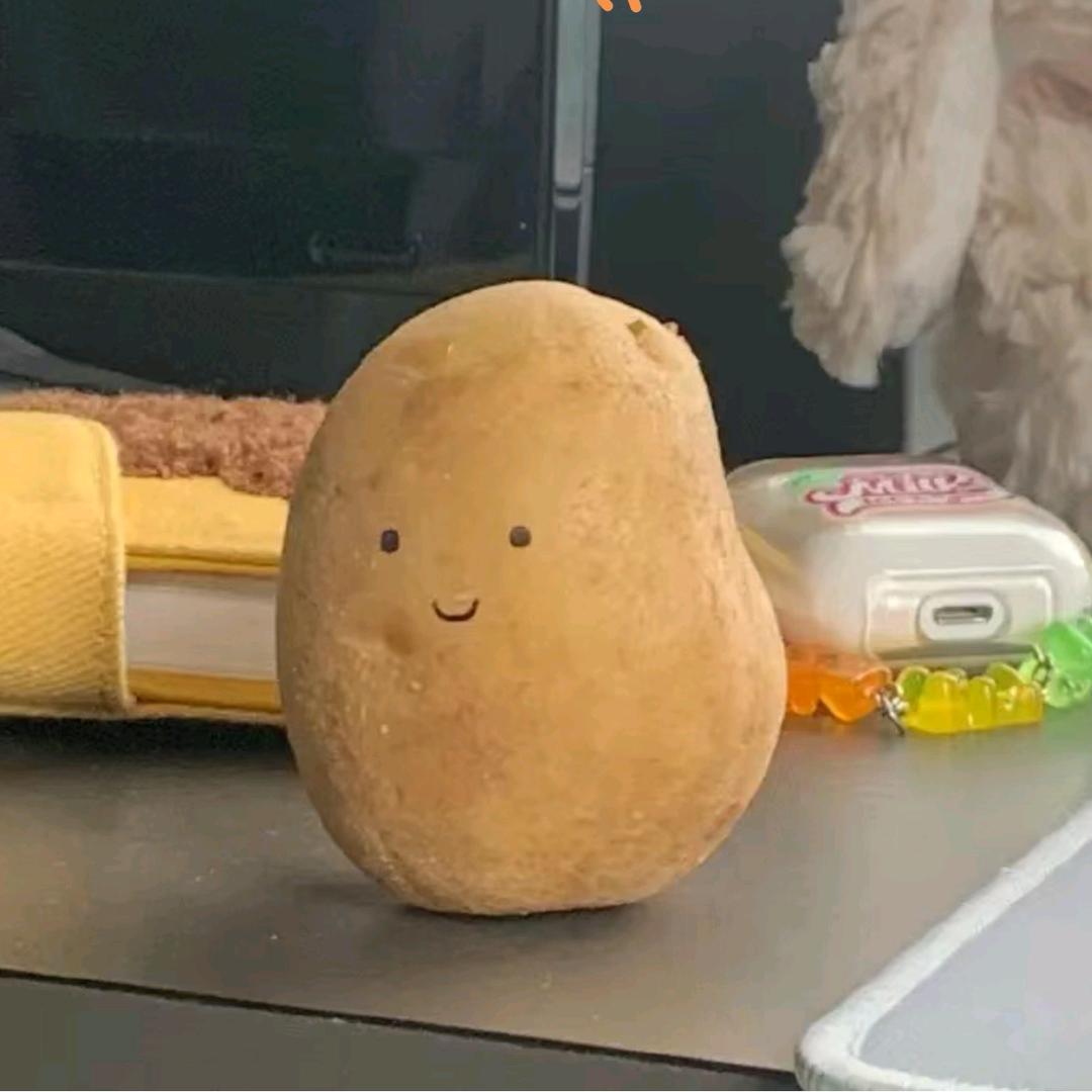 小鱼呆呆脑