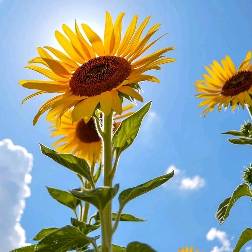 ❤️情怀❤️有你❤️