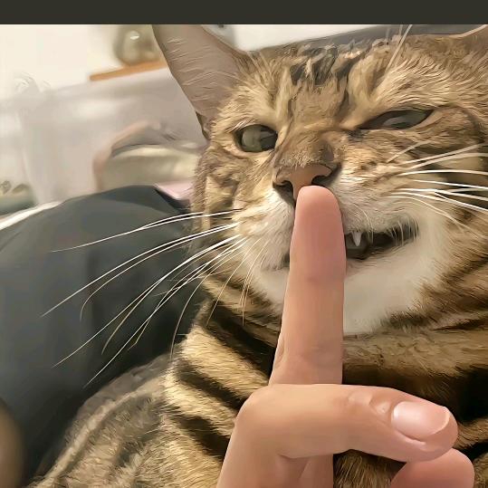 扶老太太闯红灯