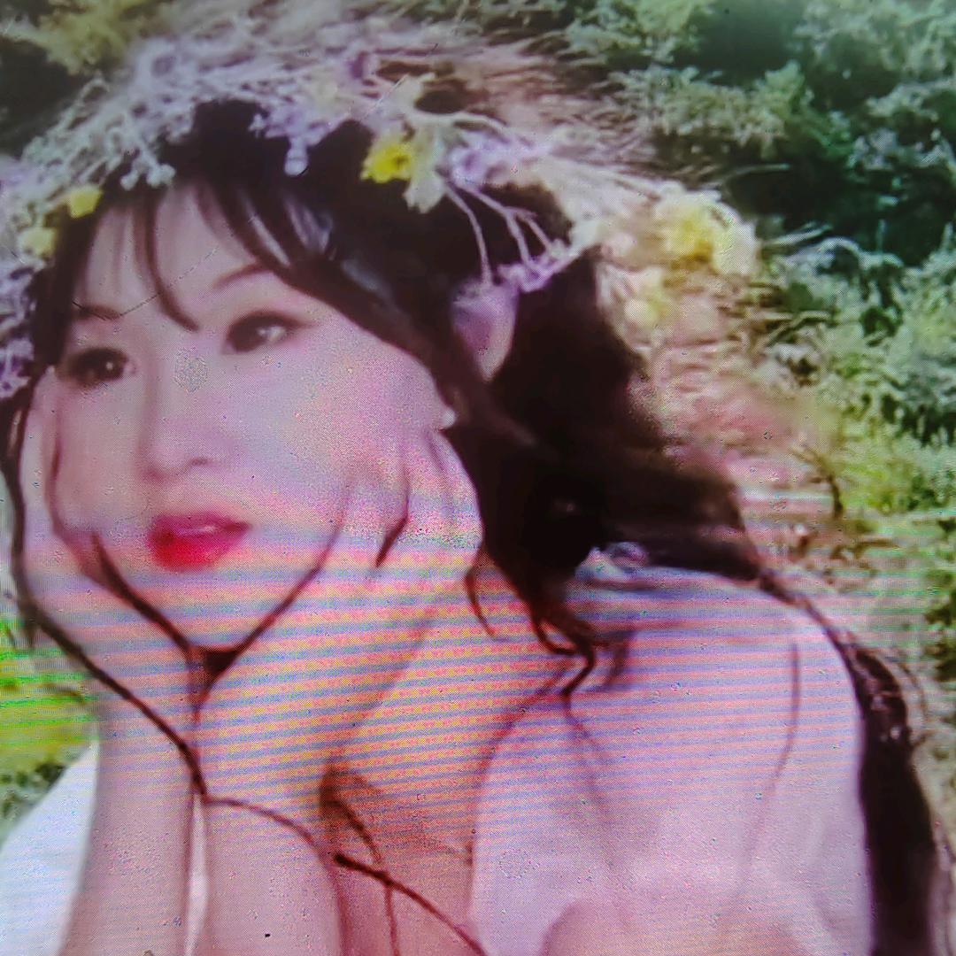 一枝梅