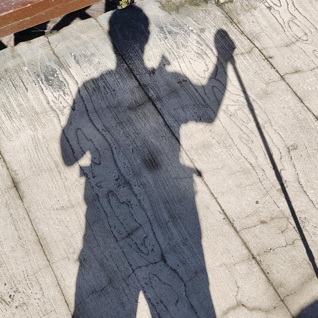 刘十二。（努力活着）