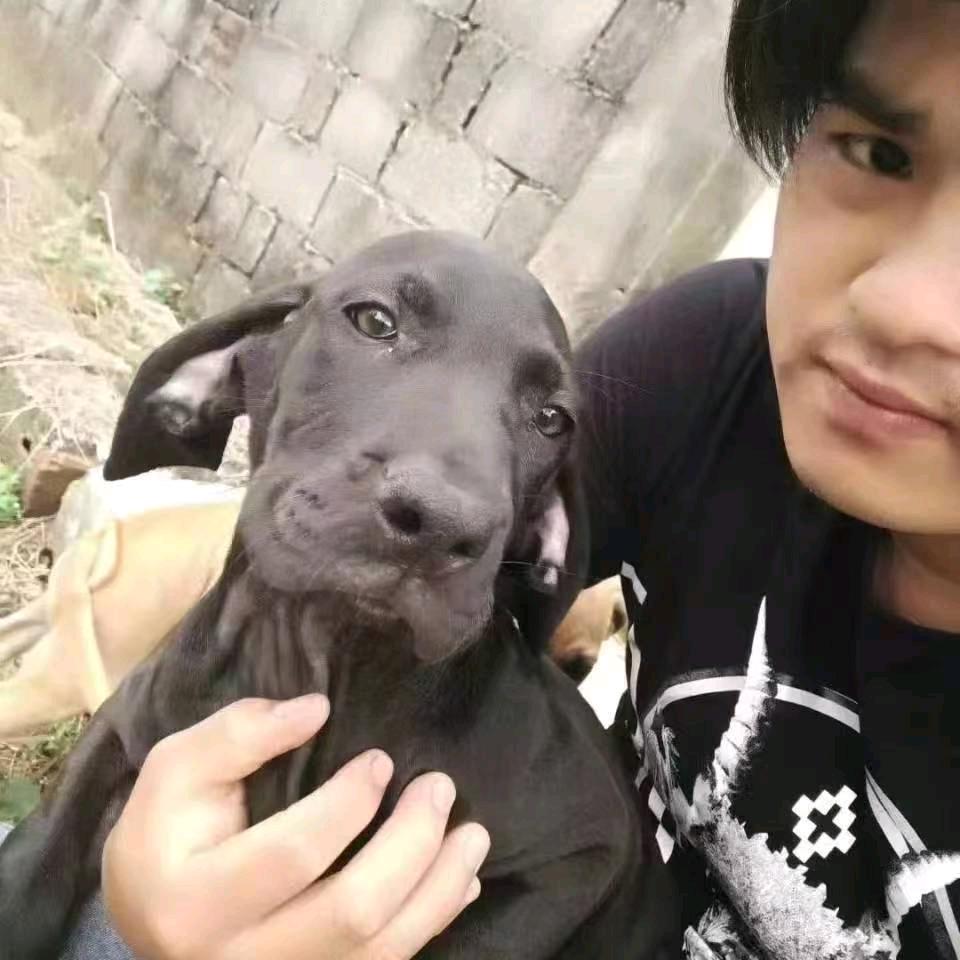 惠龙犬舍