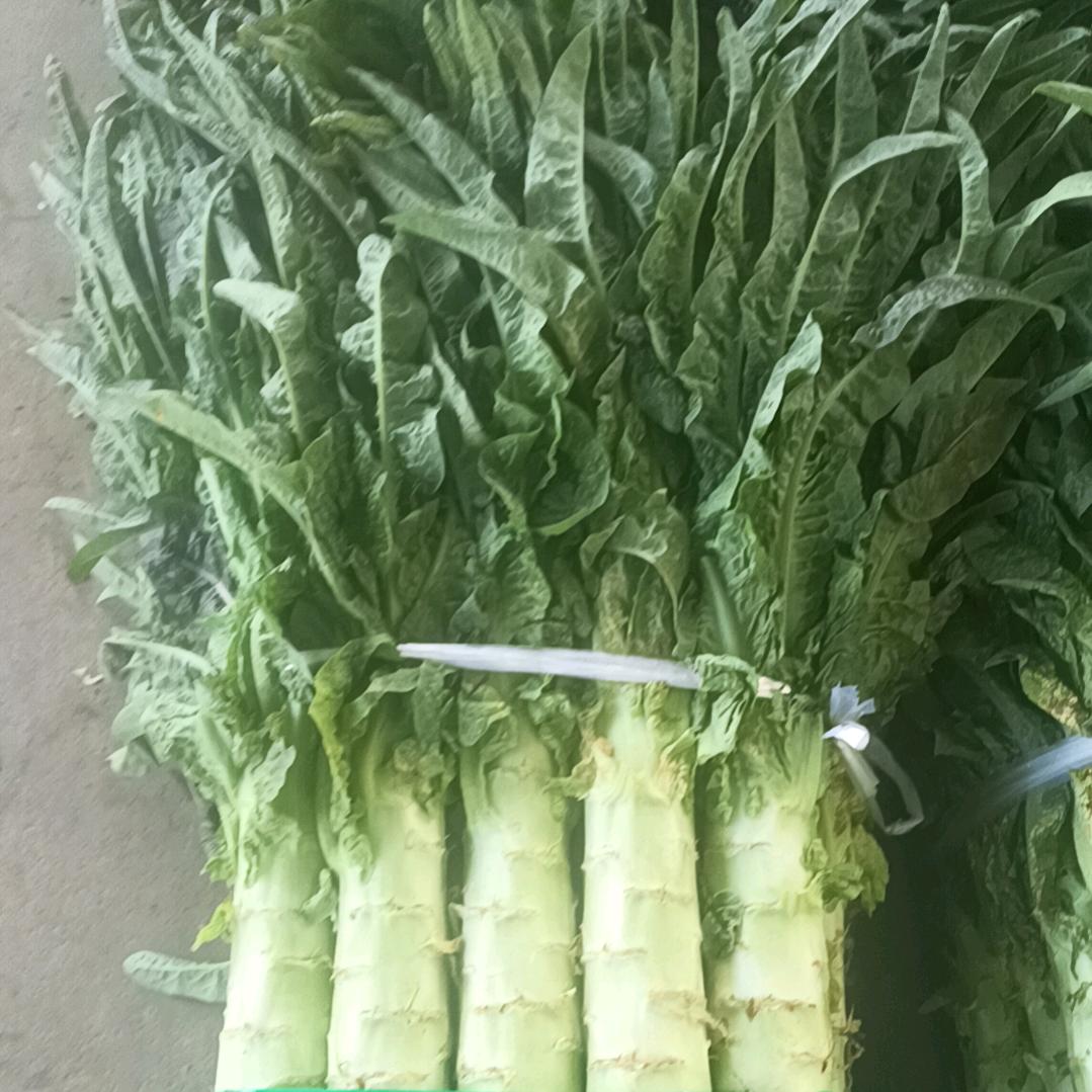 专做云南莴笋