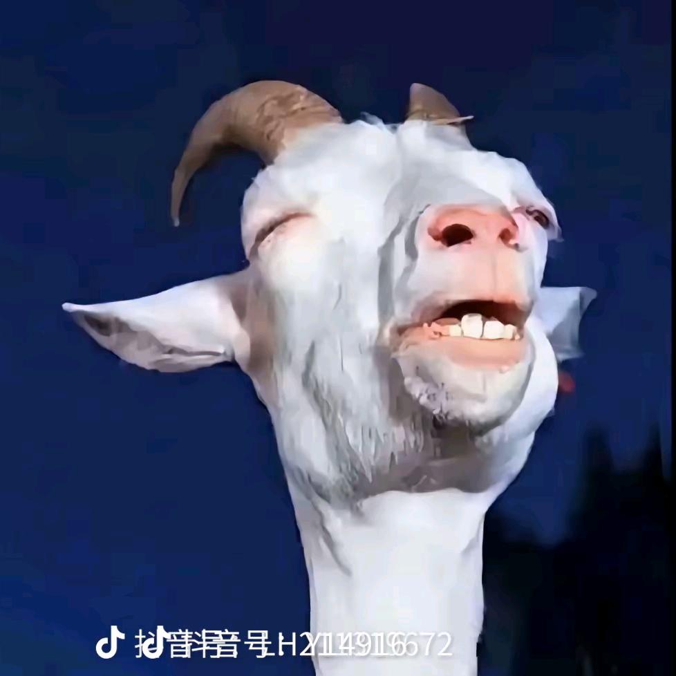 羊骨汤面