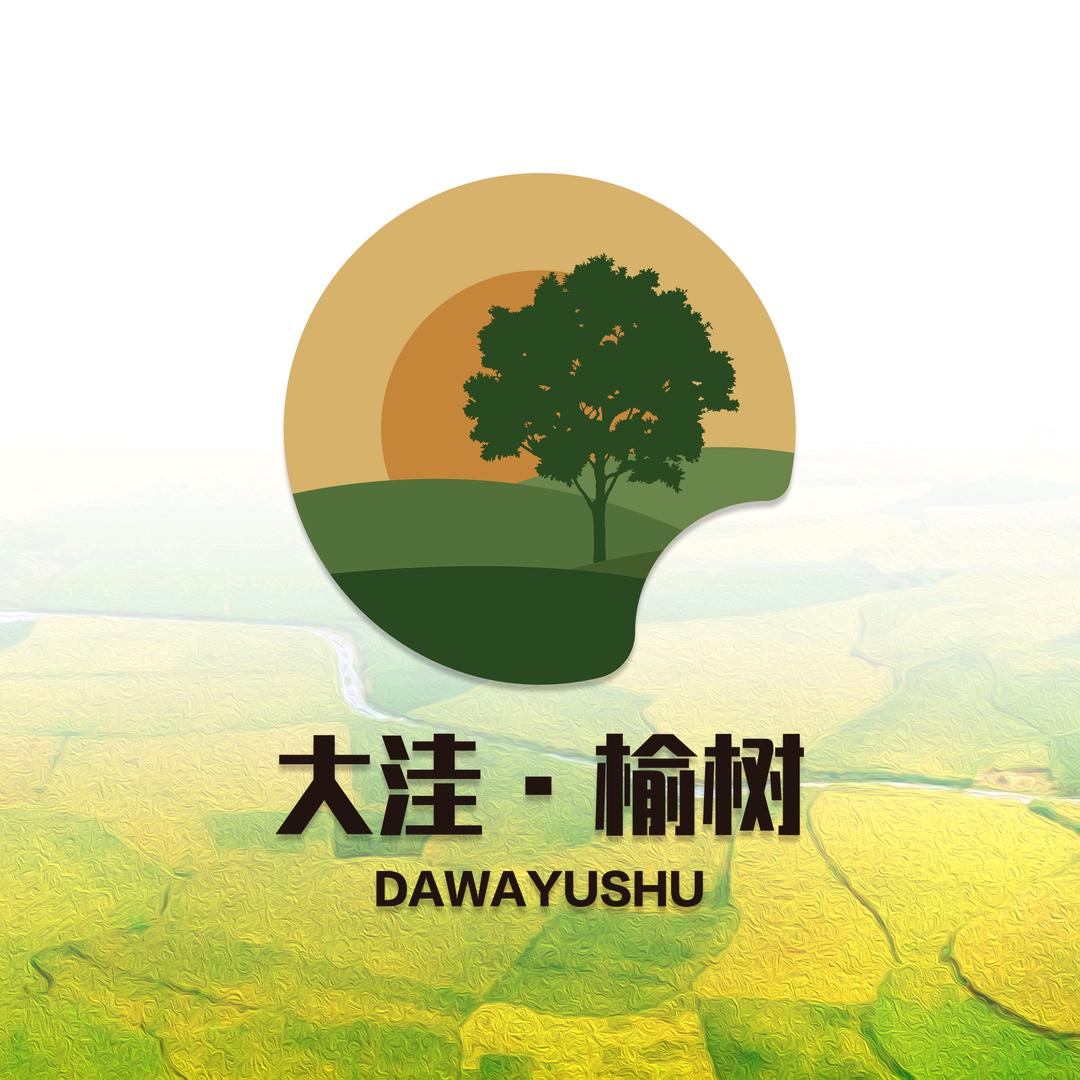 焕彩榆树