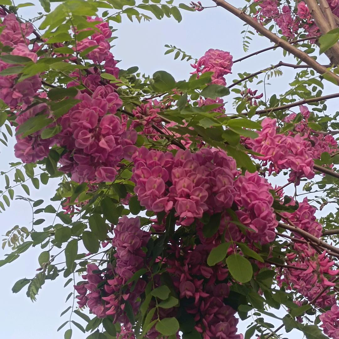 诗和远方🇨🇳