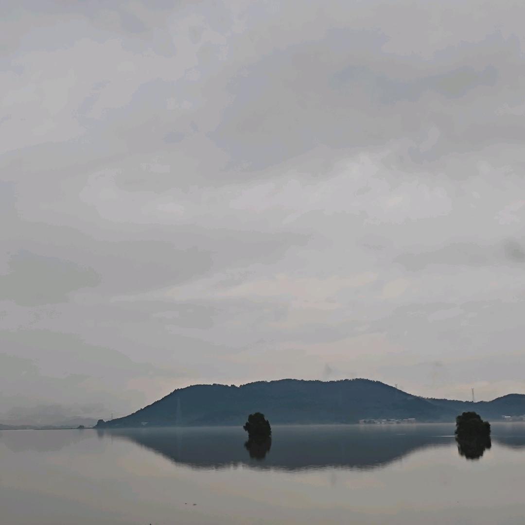可扶摇兮