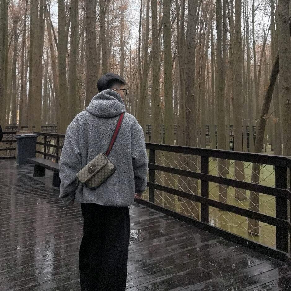 妙蛙宝子.