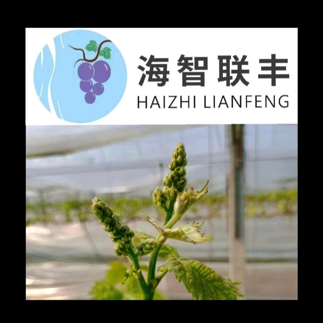 海智生物（精品阳光双塘）