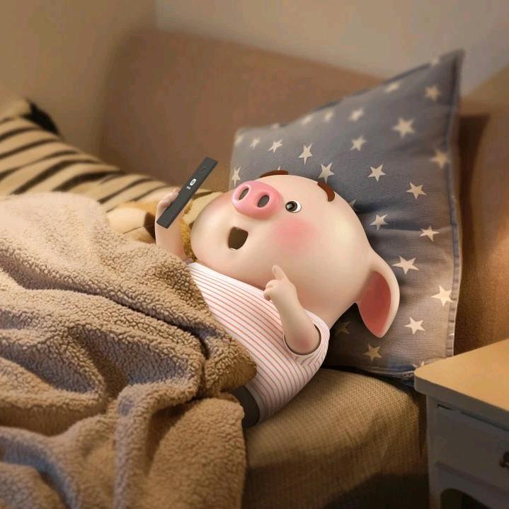 ℳ໌້•小͚猪ོ