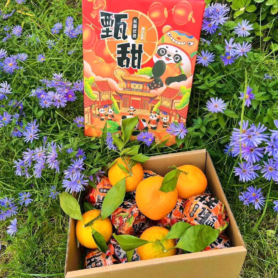 红太阳666