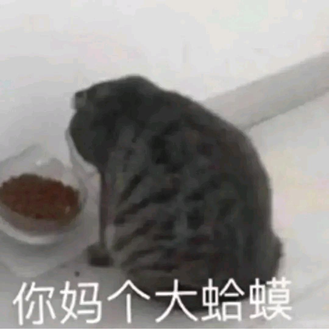 大蛤蟆一屁股坐扁地球