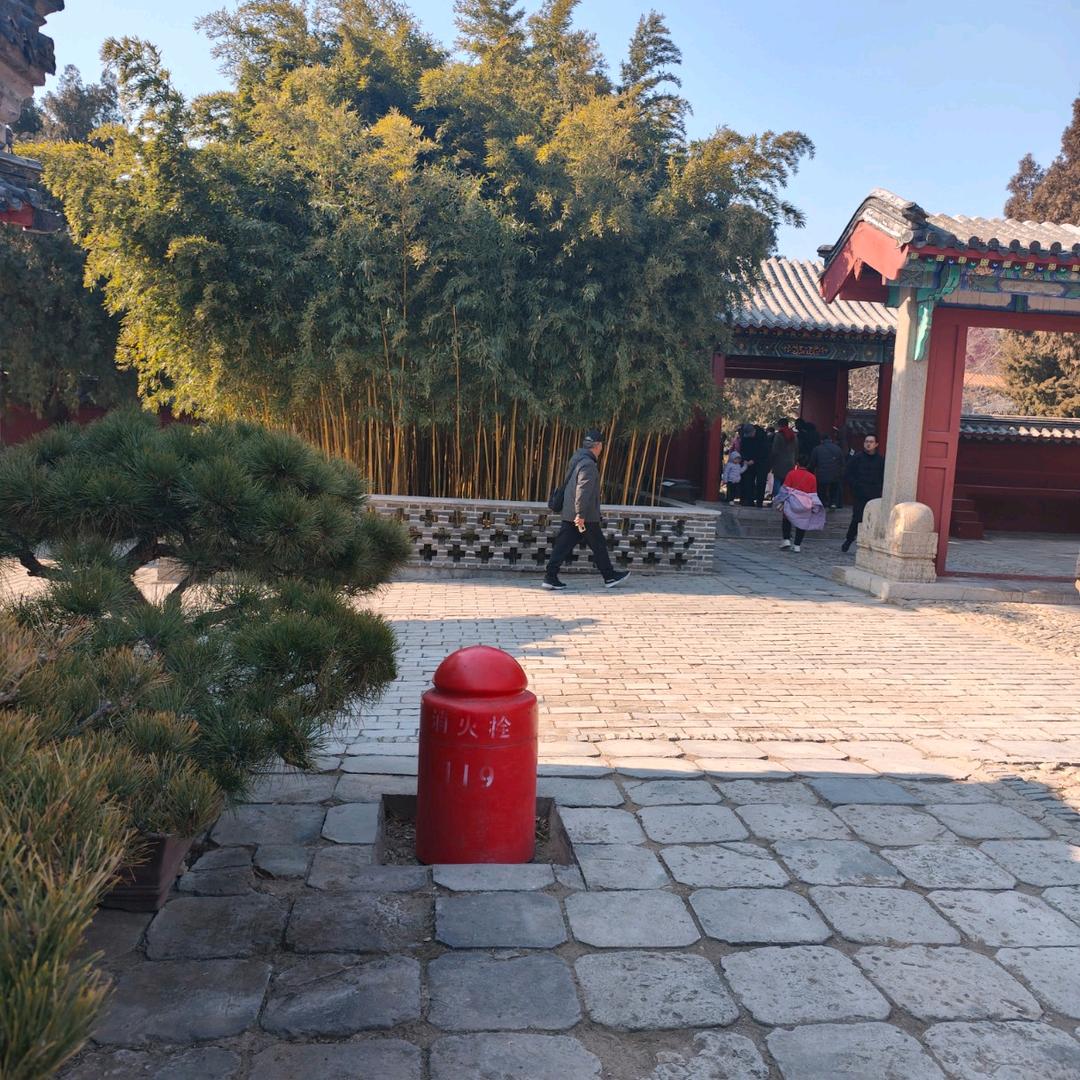 西柚乐一